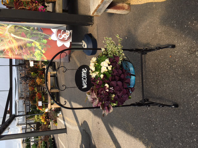 Maillet Metal Weather Resistant Plant Stand