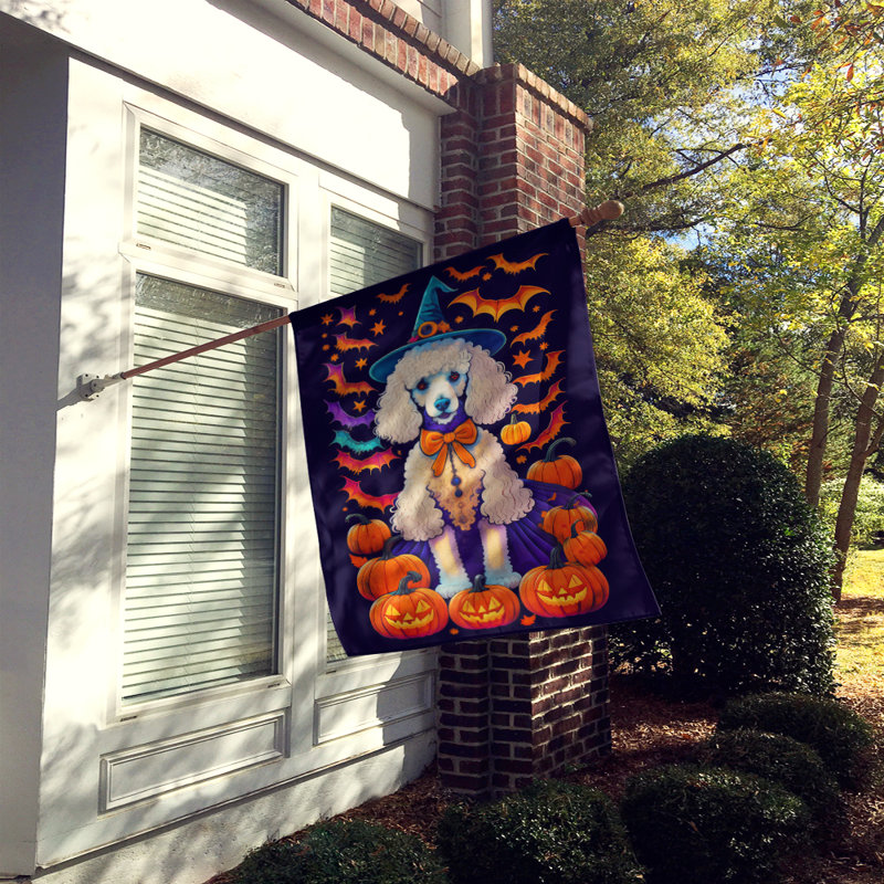 Jakameron Double Sided Polyester Halloween Garden Flag, 40" x 28"