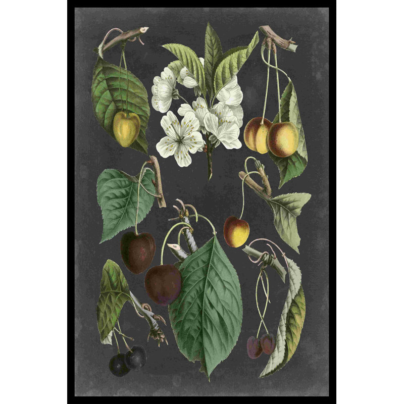 Orchard Variétés II, H 36 po x l 24 po