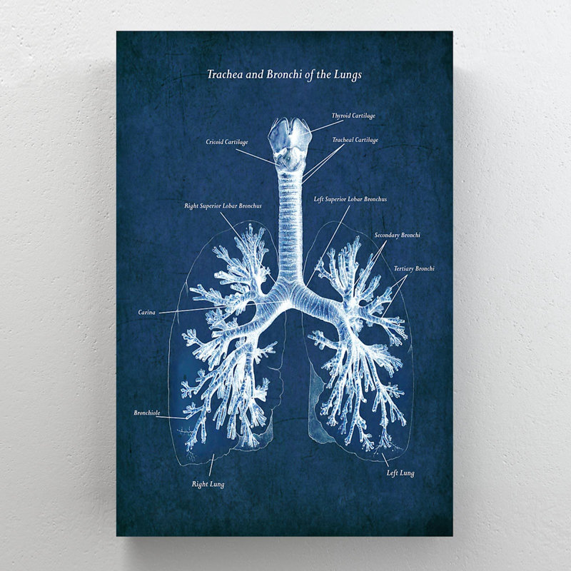 «Value N'applique pas», impression sur toile tendue, H 14 po x l 11 po x P 2 po