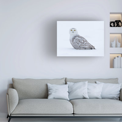Young Feng Quoi? Art sur toile