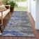  Machine Washable Indoor/Outdoor Chayden ACN1091 Rug