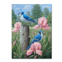 Baby Blue Jay Bird Wrapped Canvas Print