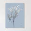 Skyway Oleander Bush - Wrapped Canvas Print-250593335