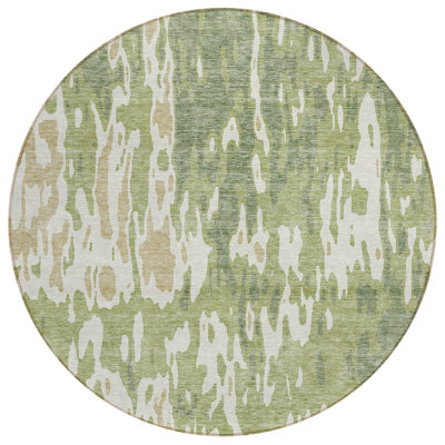  Chayden Area Rug with Non-Slip Backing