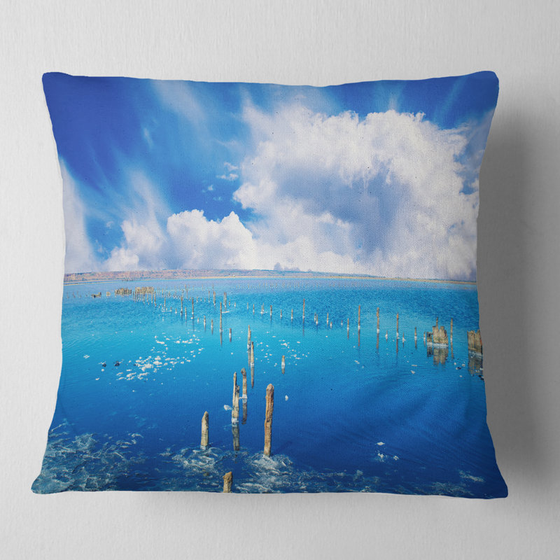 Coussin seascape magnifique salk, 18 po x 18 po, Coussin décoratif