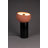 Zahra Powder-Coated Iron Torchiere Lamp-100074035