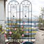 Treillis de jardin en métal noir antirouille, 220 x 50 cm, motif paon, pour rosiers et haricots, extérieur.