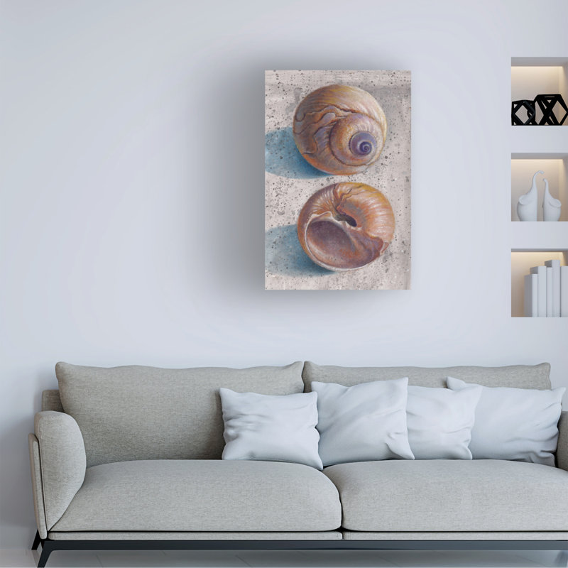 Bolog Donna Basile Moon Snails Canvas Art, 47" H x 30" W
