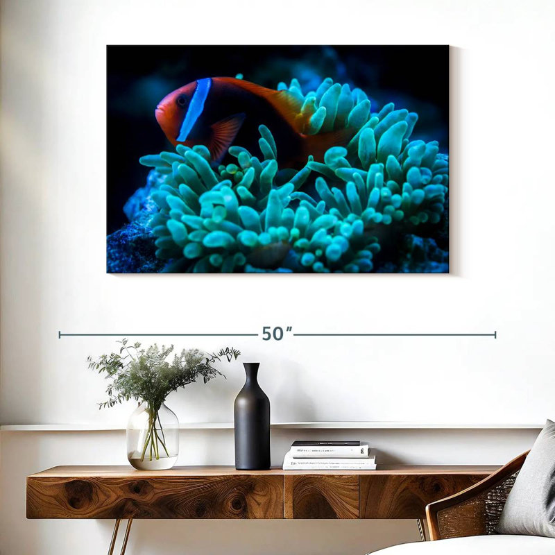 Brampt Tomato Clownfish, 26" H x 39" W