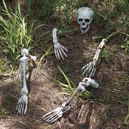 The Holiday Aisle® 9 Piece Skeleton Yard Figurine & Reviews | Wayfair