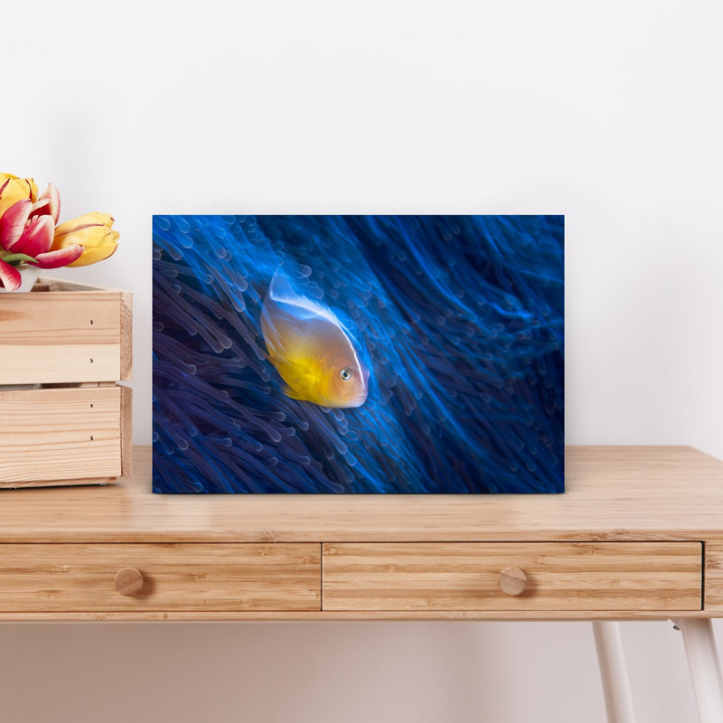 Vibrant Anemone Fish Peaceful Serene Tranquil Fish Nature Ocean Wall Art Print 1 Piece Wrapped Canvas Wall Art