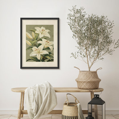 «Lily Botanical», reproduction d'art encadrée, style botanique antique pour décoration de cuisine de campagne ou de salle de bain d'inspiration rétro