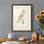 Barn Owl Premium encadré mat - prêt à accrocher-1890251786-1890251788