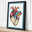 Anatomical Heart Diagram Modern - Wrapped Canvas-198935222-198935217
