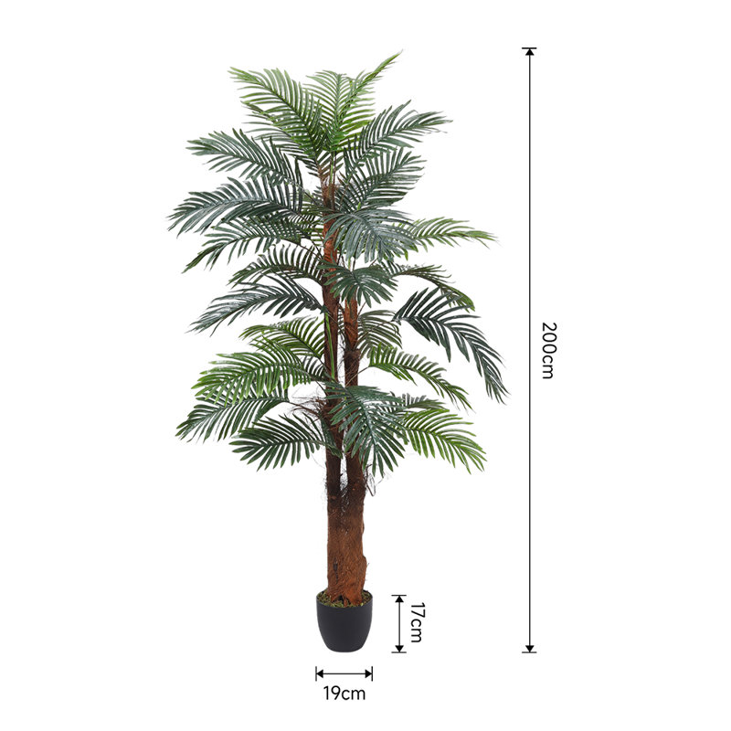 200cm Plant