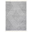 Risette Geometric Shag Tassel Area Rug