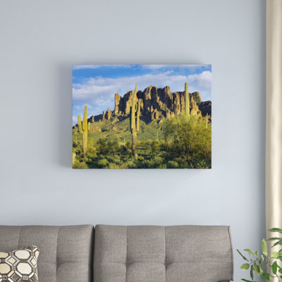 " Saguaro Cacti And Superstition Mountains At Lost Dutchman State Park, Arizona "