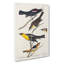An Assortment of Birds by John James Audubon - Wrapped Canvas Painting Pint - Wrapped Canvas-55367942