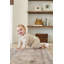 Heirloom Cotton Knit Receiving Blankets-1551771463