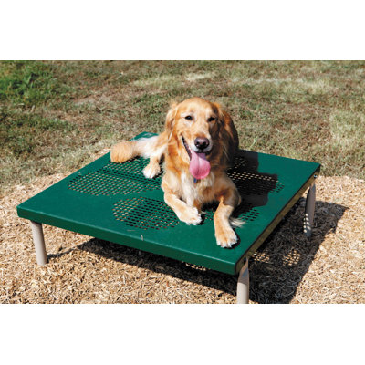 Pollitt Paw Table
