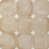 Dark Beige/White is out of stock