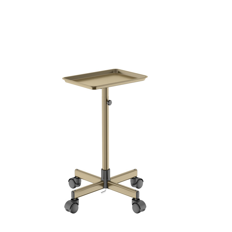 Chariot utilitaire pour chariot à tatouer Rolling Salon Tray
