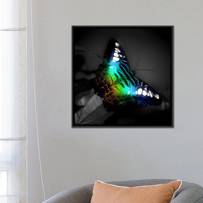 Colorful Butterfly Photographic Print on Canvas