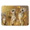 Tapis de bain en microfibre / microsuède Eabha