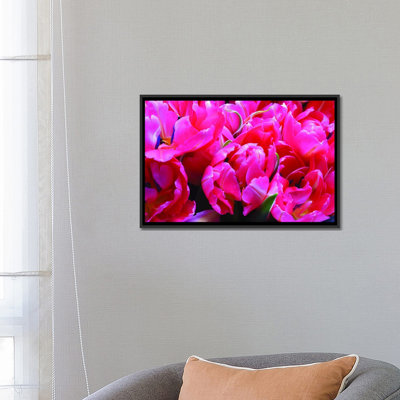 Con brio, reproduction de photo sur toile tendue