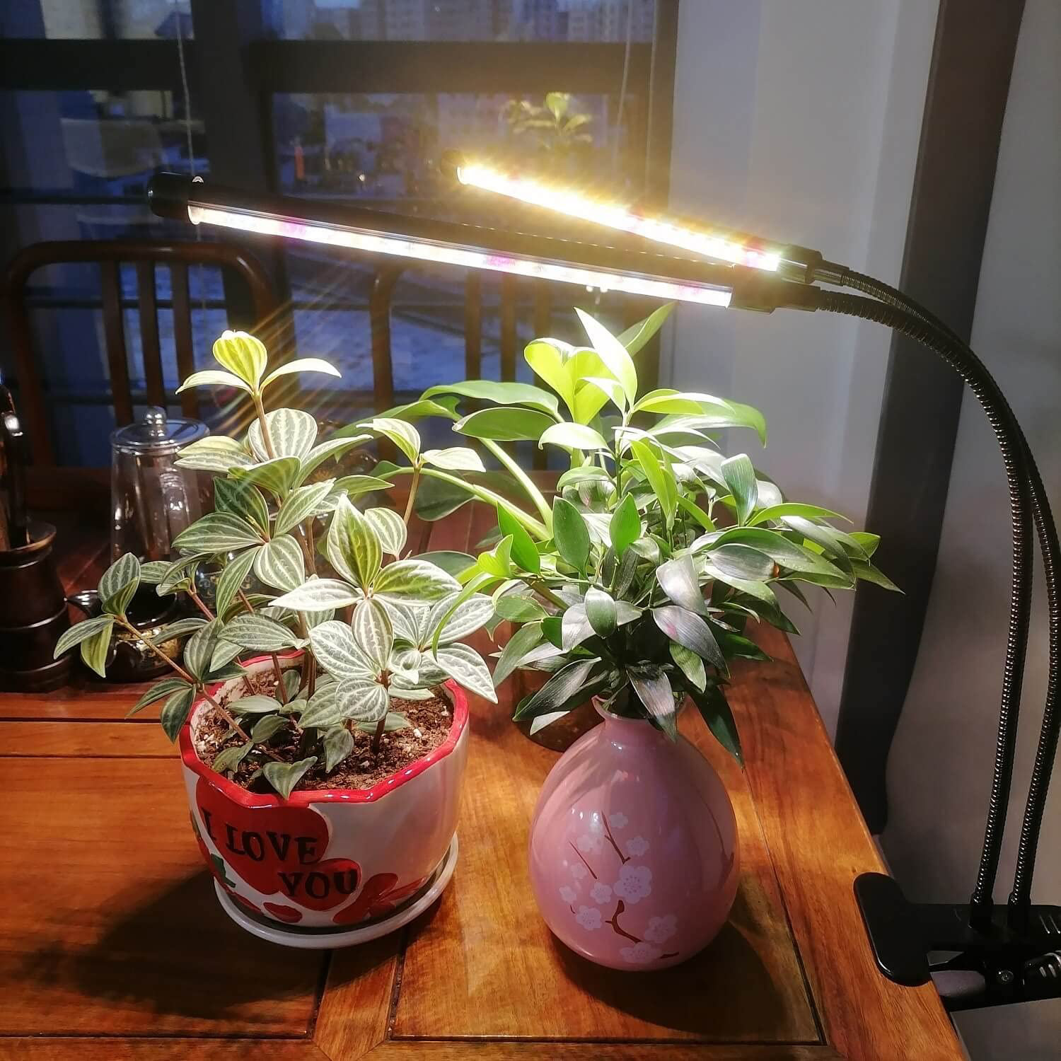 Sun lights online for plants