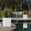 Moneak Planter Box-1391113115-1392064358