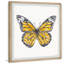 Tout sur les papillons - peinture encadrée-771620388