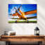 Avion Mehar Orange-107673037