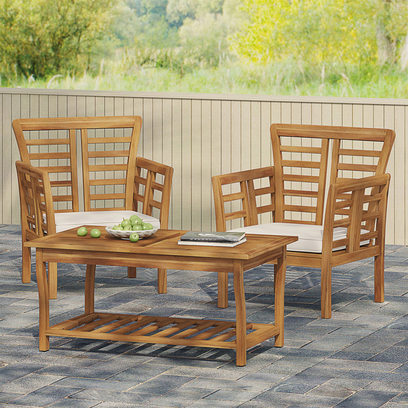 2 CHAISES CLUB CAYDON + TABLE