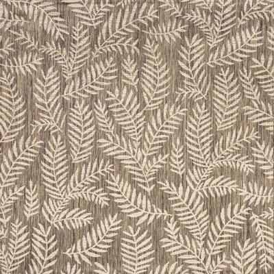 Tapis intérieur / extérieur brun / beige Mease Nevis Palm Frond