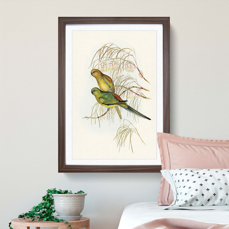 Red-Backed Parakeets by Elizabeth Gould - Picture Frame Painting Print, 65cm H x 48cm W x 2cm D, Walnut Framed
