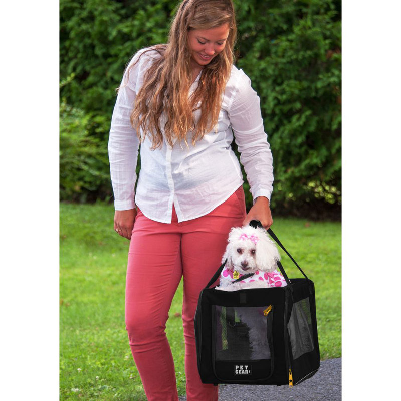 Transporteur pour animaux