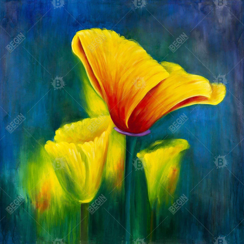 «Beautiful Colorful Flowers» sur toile