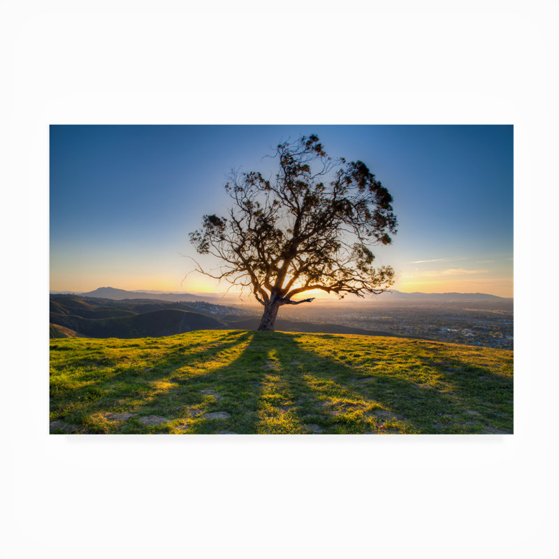 Blomquist All-Weather Canvas Landscape & Nature Wall Decor, 12" H x 19" W x 1.5" D