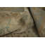 Tapis oriental Timus Oushak 10x13