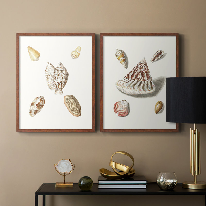 Pastel Knorr Shells VI - reproduction encadrée de qualité supérieure - prête à être accrochée - aucun clou requis - aucun clou requis