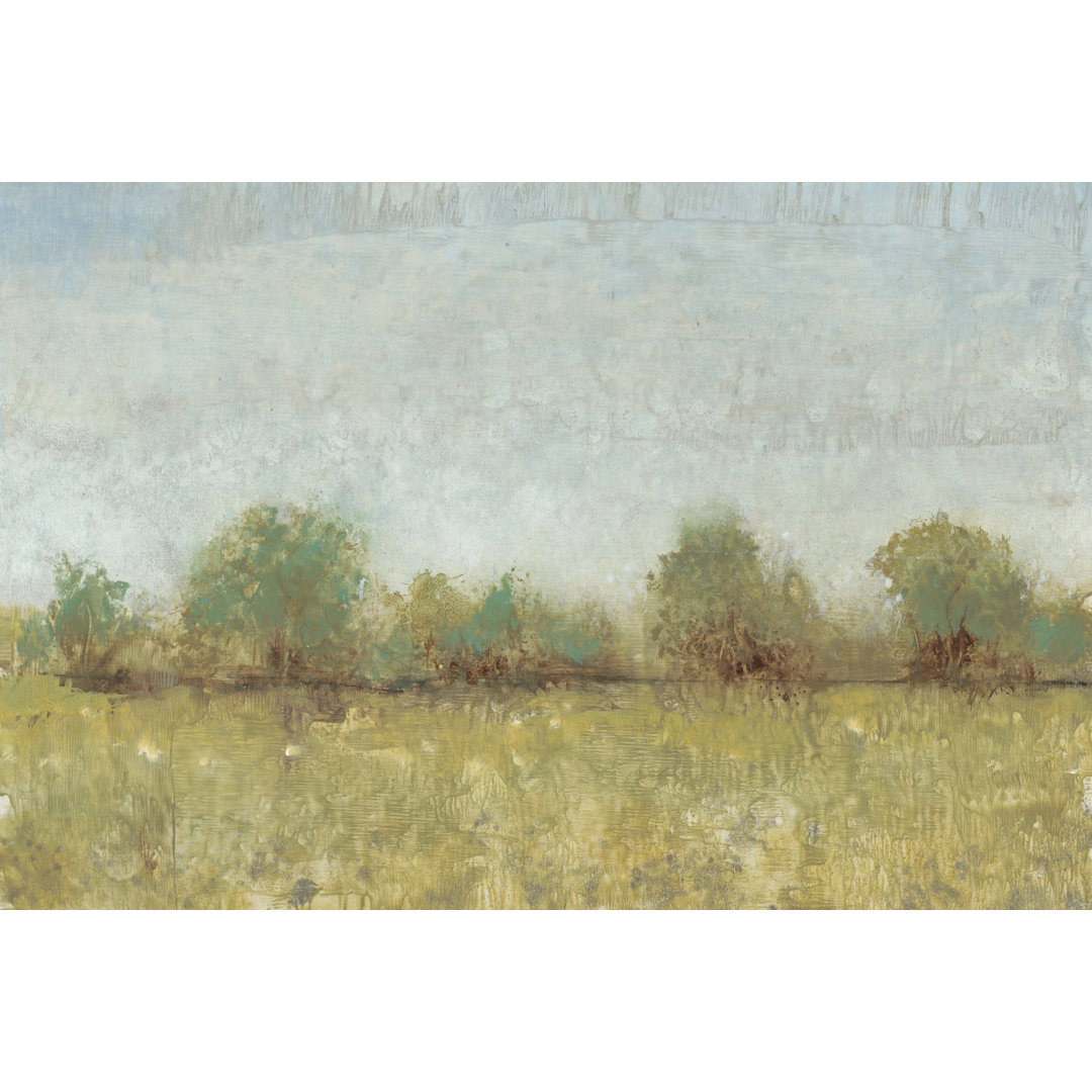 Leinwandbild Spring Field I von Timothy O' Toole