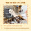 Escalier pour animal 3 marches avec rangement, marche pour chien, lit, marche pour animal blessé, animaux plus âgés, petits chats, gris