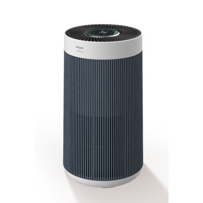 Purificateur d'air au carbone HEPA Winix T830