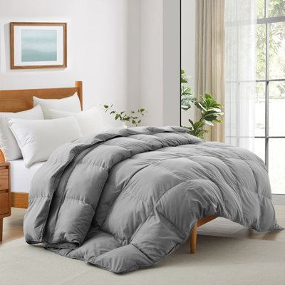 Soft All-Season Down & Feather Comforter - Cozy, Fluffy Duvet Insert with Corner Tabs for Secure Fit