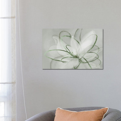 Transparent Beauty III - Sage 6 Pcs.