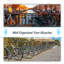 Amilyah Steel Bike Rack