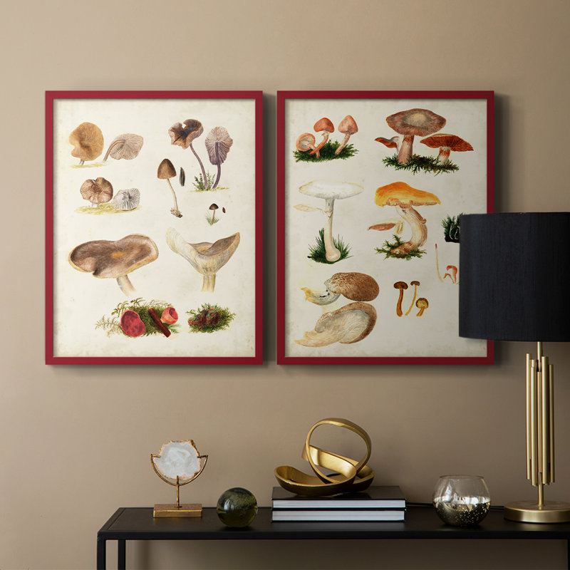Champignon III - Reproduction encadrée de qualité supérieure - prêt à être accroché - aucun clou requis - aucun clou requis