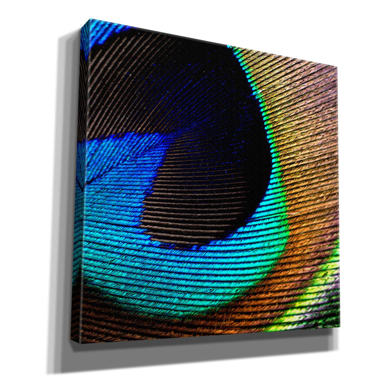 «Peacock Feather 02» par Tom Quartermaine - impression sur toile tendue, H 37 po x l 37 po x P 1,5 po